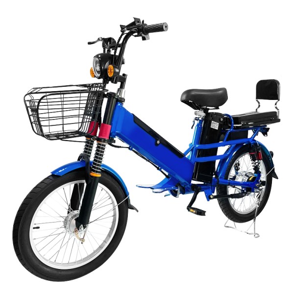 Manufacturers direct sales 20 inch fat tire spoke wheel load fork double battery electric bicycle